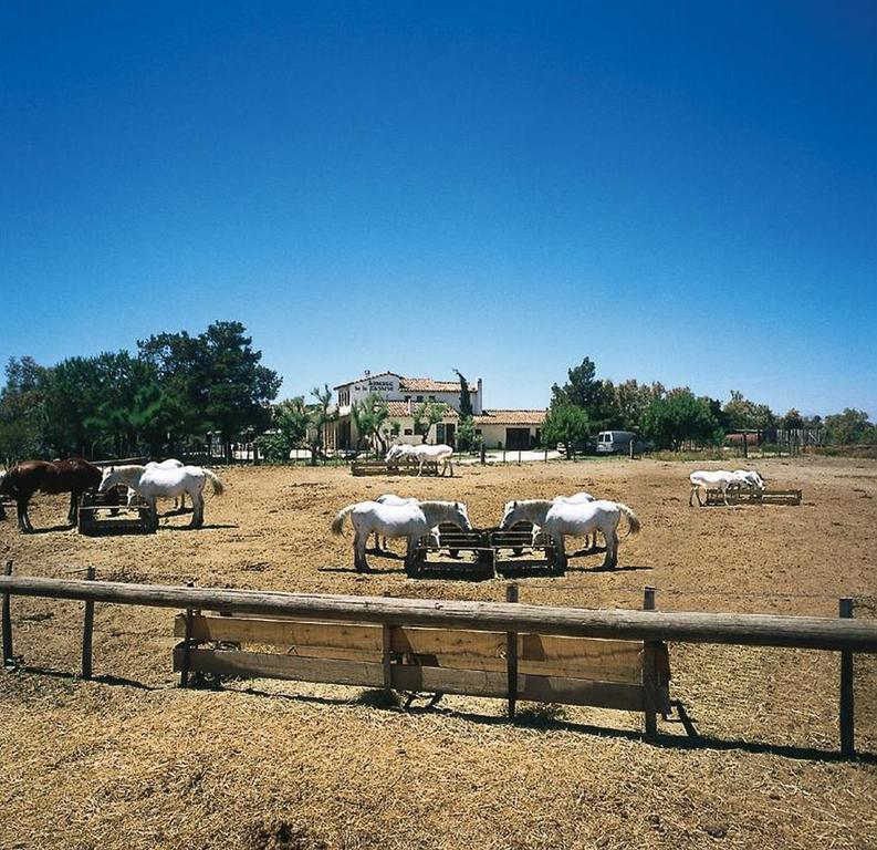 Auberge De La Fadaise Saintes-Maries-de-la-Mer Dış mekan fotoğraf